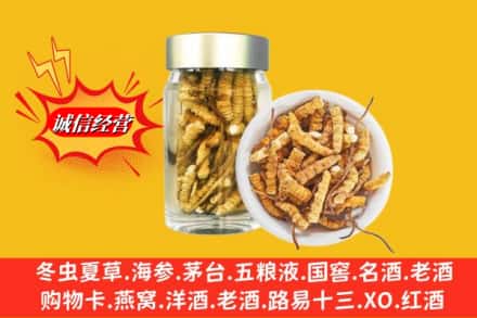 资阳市安岳回收散虫草