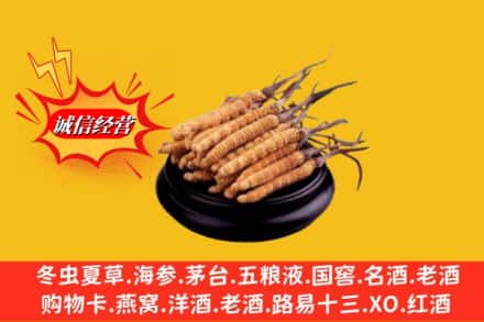 资阳市安岳求购回收虫草多少钱每克